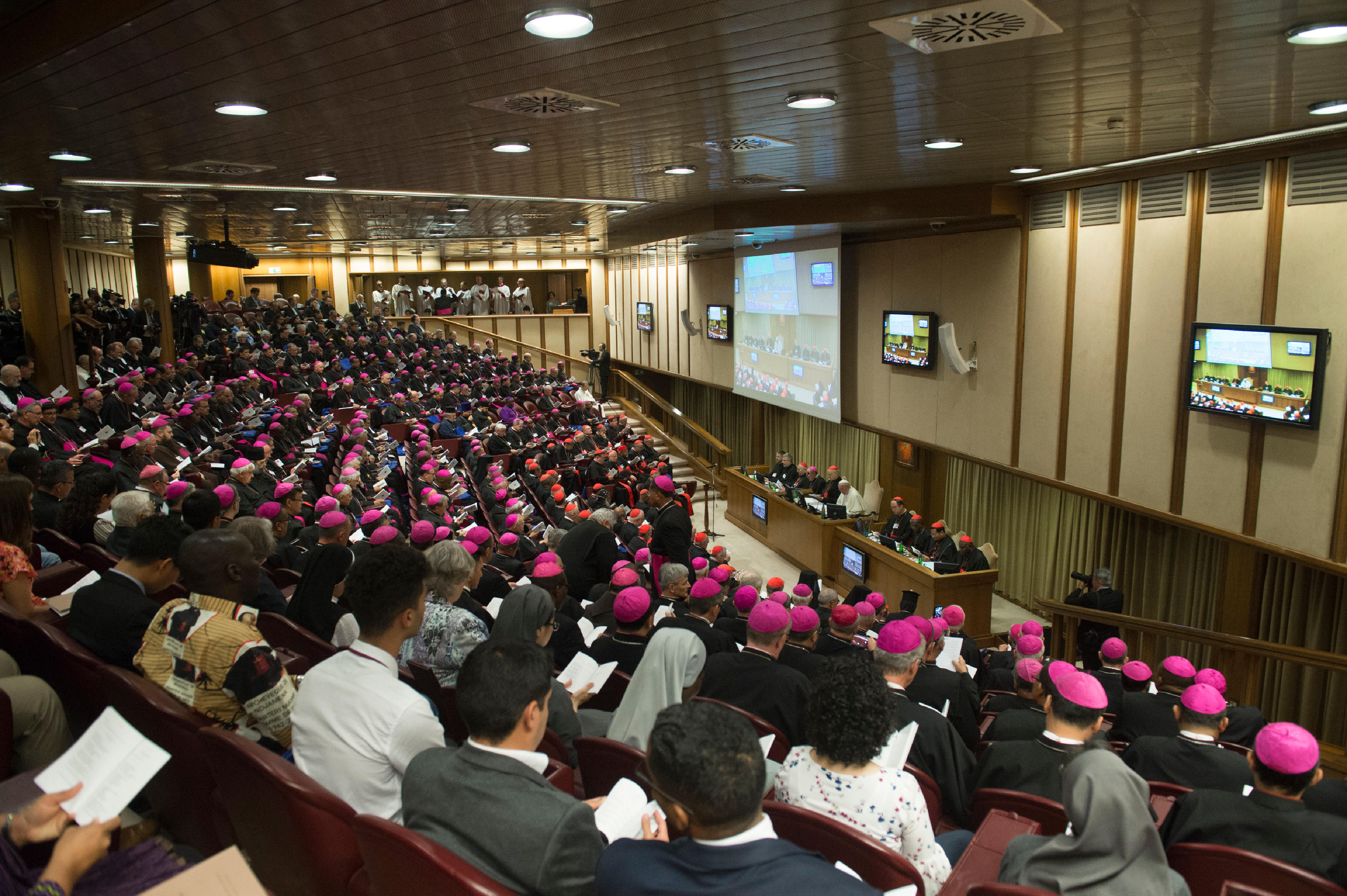 Synode 2018: Vocation, discernement et accompagnement