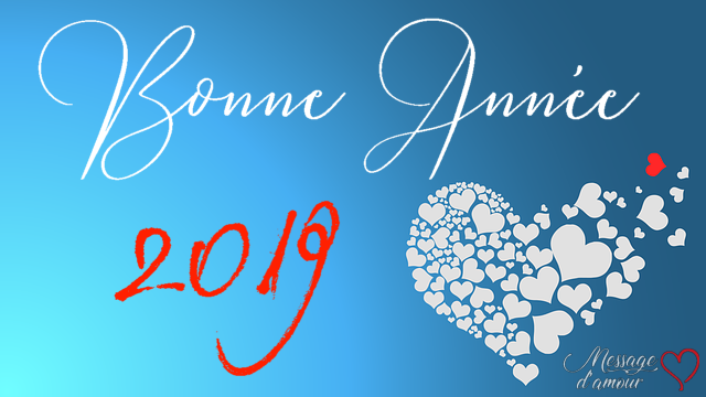 Présentation des Vœux 2019